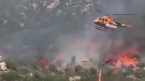 "Spontánny" vznik lesných požiarov