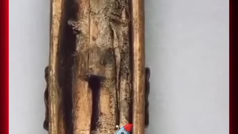 A man was hiding these artifacts under his house