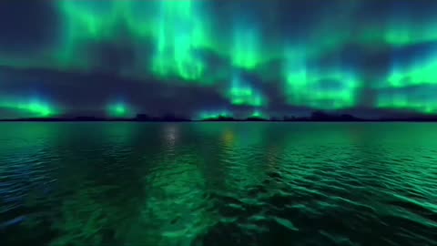 Nice Video of Nature