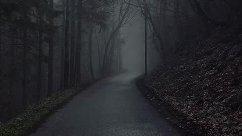Nature sight