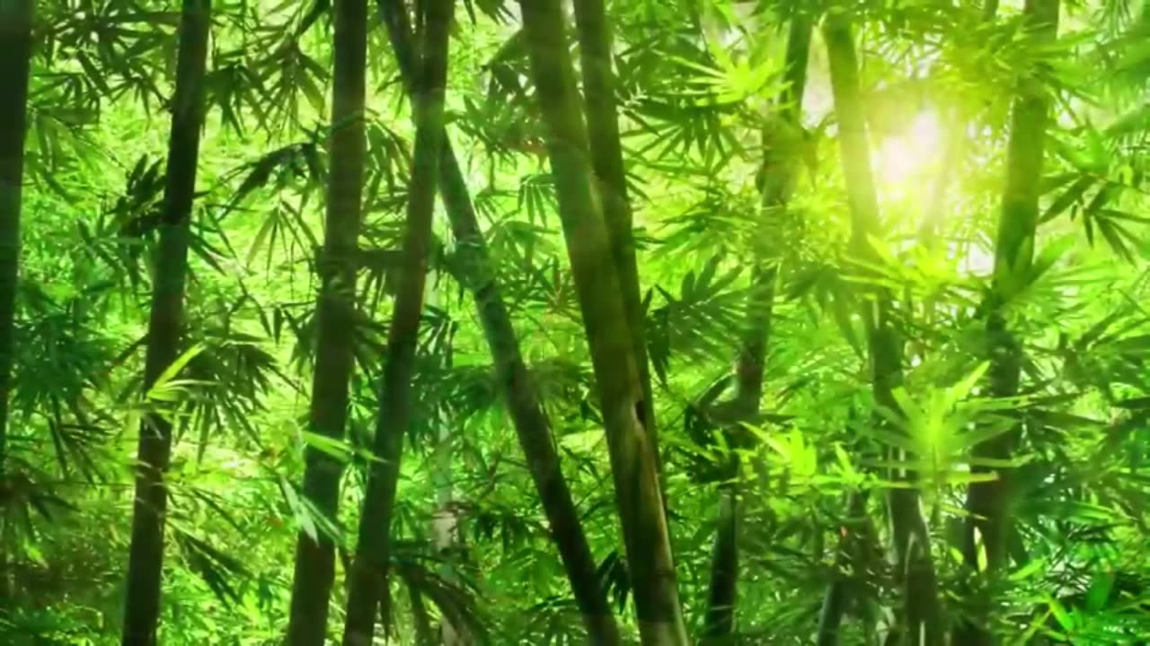 Relaxing Music, Soothing Music, Calming Music