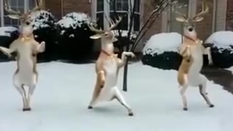 Funny & Adorable Raindeer Dance Marry Christmas