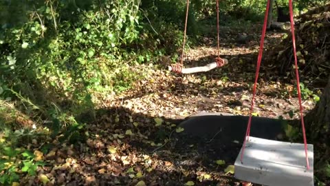 Community Supported Agriculture at Global Gardens Cardiff with Sunshine Kitchen - Audit Everything