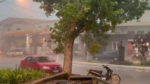 Storm Uproots Tree