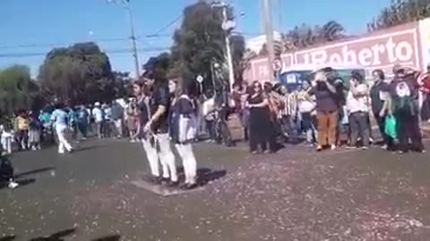 Boi ataca multidão e deixa feridos durante desfile de aniversário