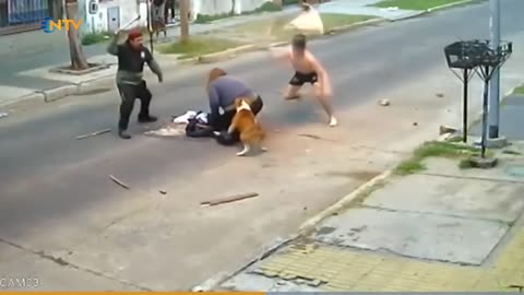 Men Rescue her from Dogs