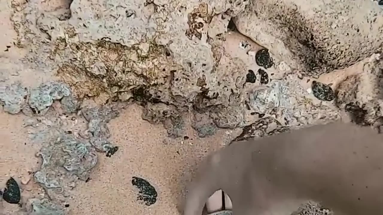 Ocean view