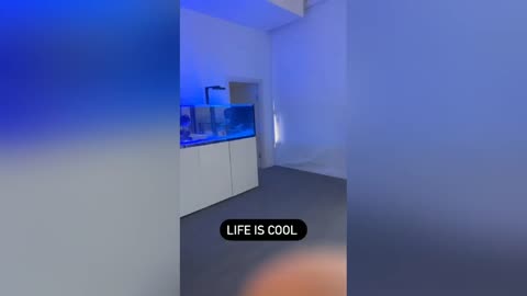 SteveWillDoIt Remodeling Penthouse