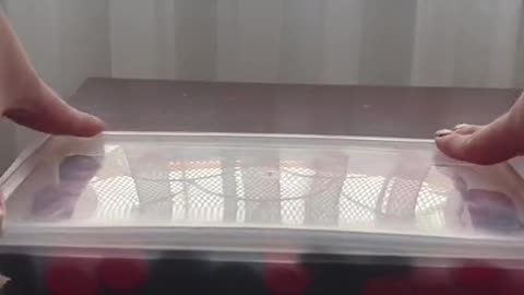 Ninguna gomita fue dañada durante la grabacion de este video