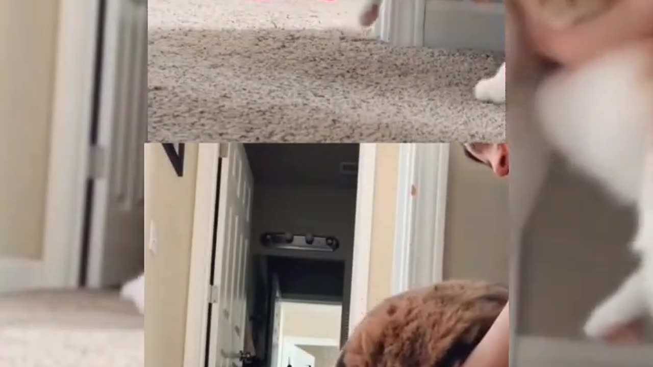 cute baby funny videos#funny videos#funvideos##