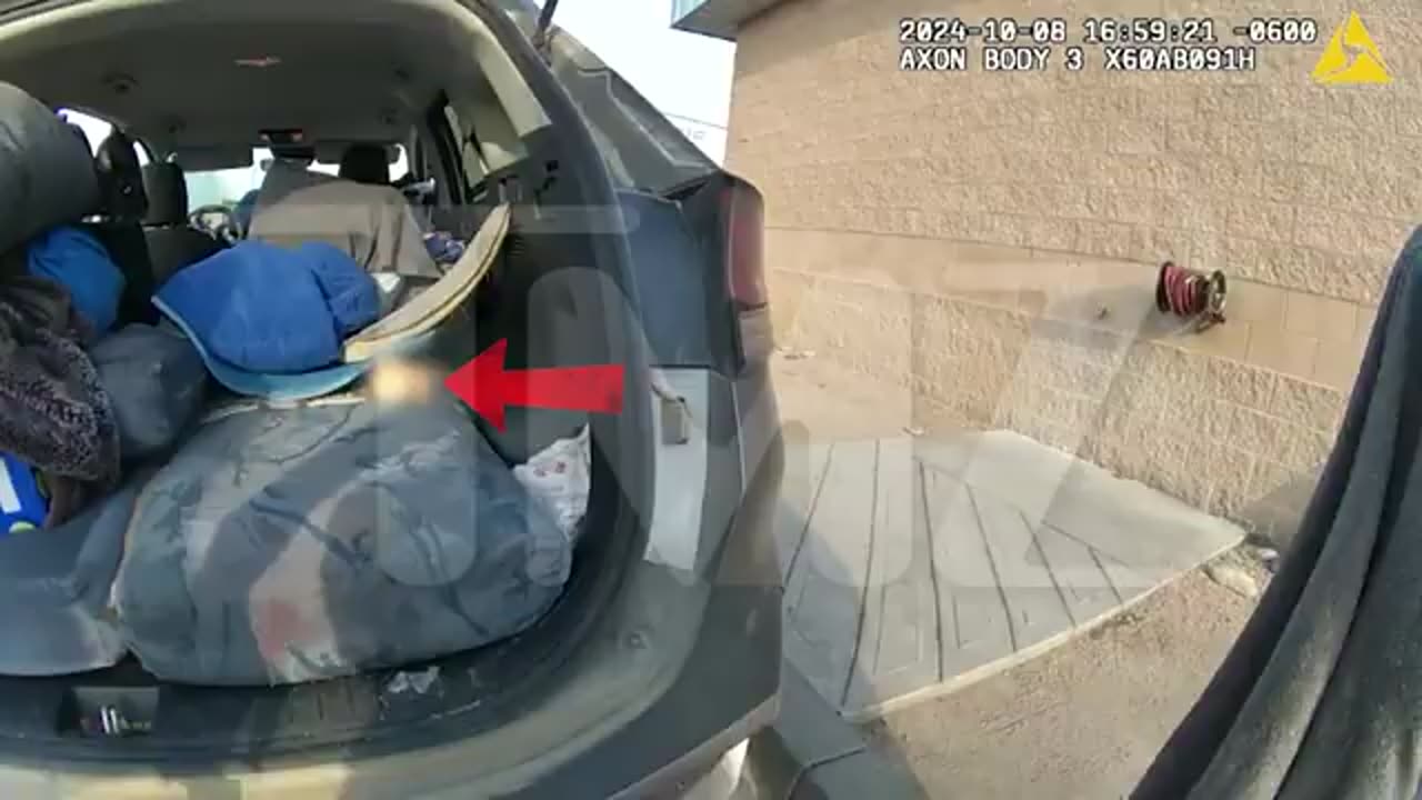 Colorado Cops Find Sex Toy in Car During Traffic Stop, Body Cam Video Shows | TMZ