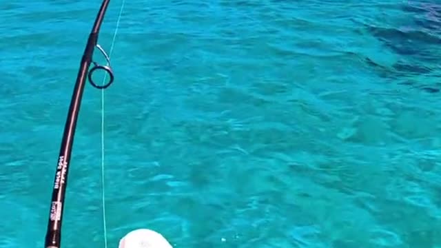 doesn't get much better than this.....full clips on Buried In Blue on YouTube 📽