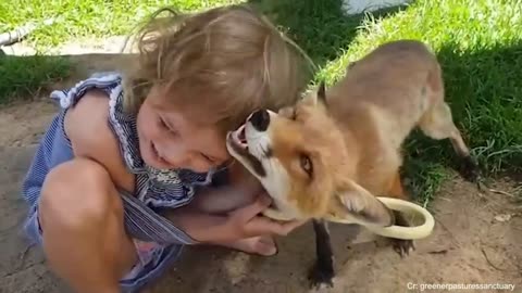 These Animals Found Their Own Way to Say “I Love You Human” - Part 1