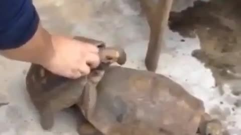 Don't see again 😕 😒 😔 😐 😞 😢 😕