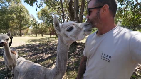 TWO YEAR RECAP OF FULL TIME TRAVELLING IN A CARAVAN || TAS, NT, SA, QLD and MORE!