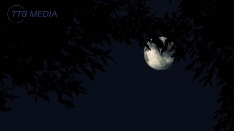 Moon and night Relaxing Piano Music Meditation Music, Relaxing Music, Study Music, Calming Music