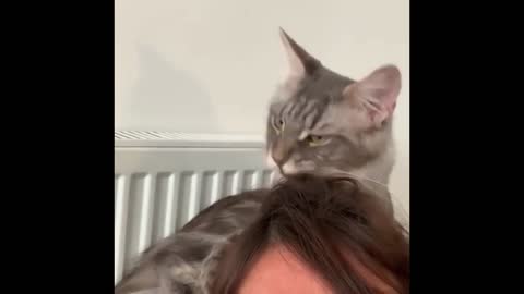 Getting hair done by an funny hair stylist