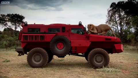 The Marauder | Ten Ton Military Vehicle