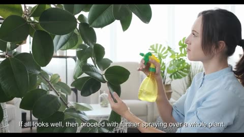 How To Get Rid of Slugs & Snails! 100% Effective and Good for Plants