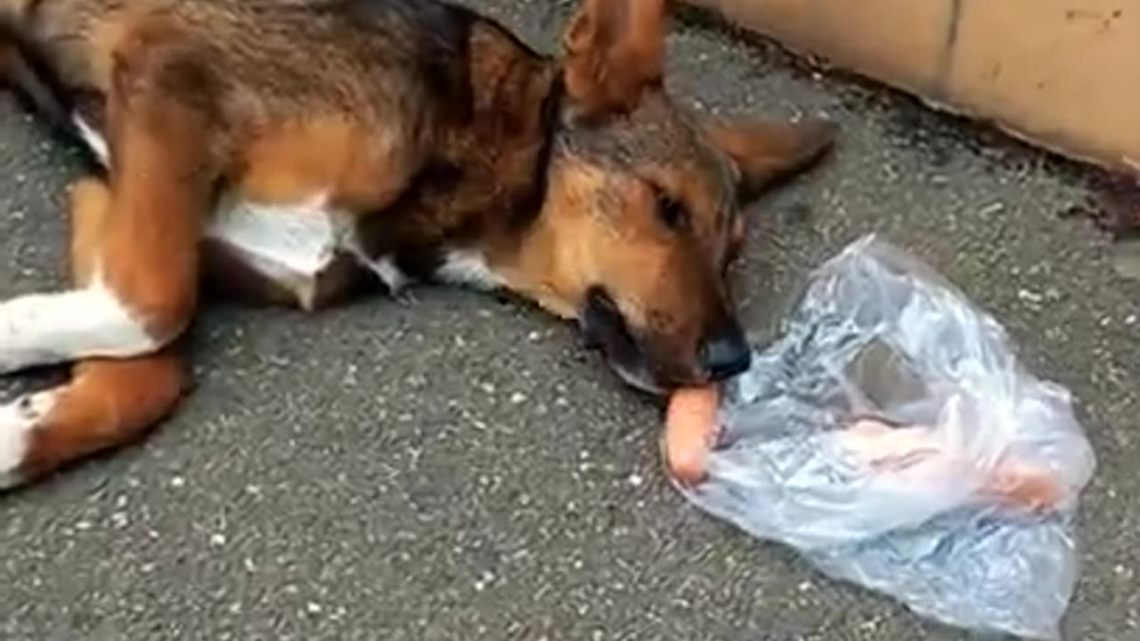 Delicious dream