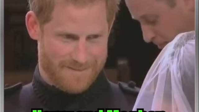 A Cheap and Tacky Reality Series