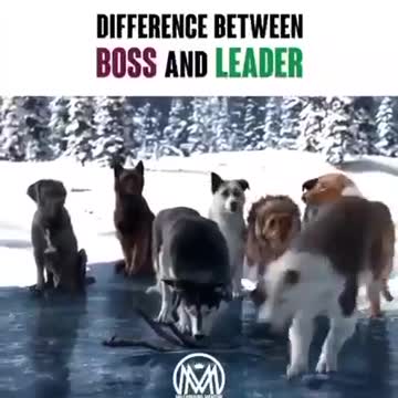 Difference between a leader and a boss.