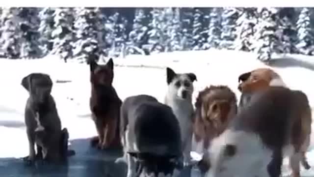 Difference between a leader and a boss.