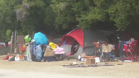 543. Gang Stalking Report Bruce Reptilians June-August 2019