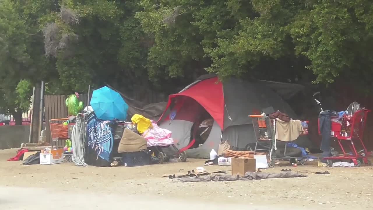 543. Gang Stalking Report Bruce Reptilians June-August 2019