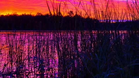 The clouds stole the wine I put on the roof, and her blush turned to sunset
