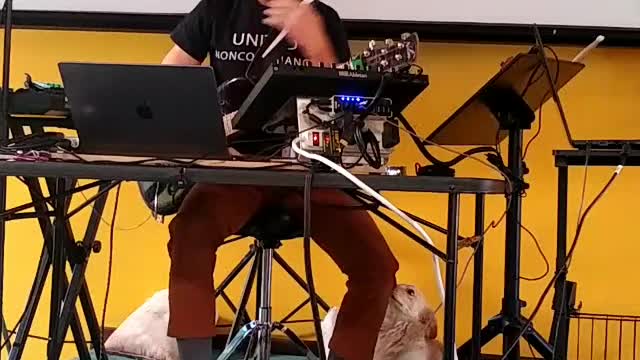 Grant Ellman Freedom Music