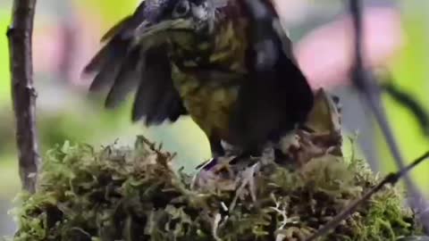 Practice to fly