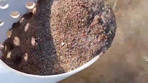 sandscoop one making