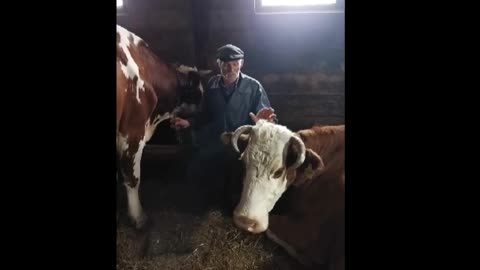 Оце бізнес!!!
