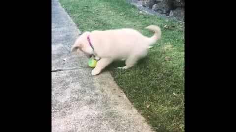 Episode 65 - Cannot stop laughing