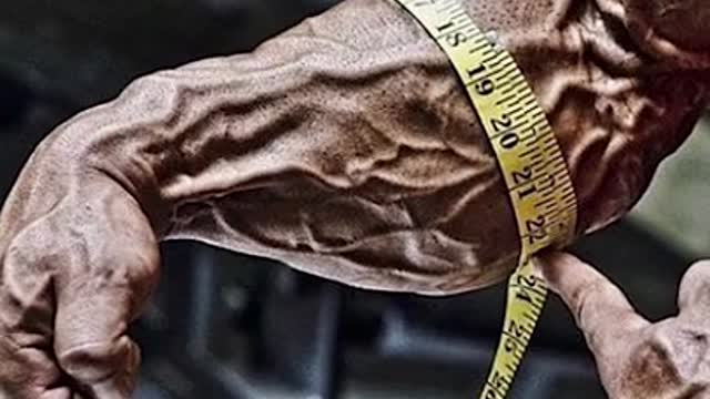 Five top bodybuilder