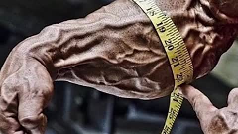 Five top bodybuilder