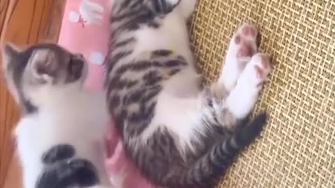 How much does a new 🆕🆕 the sky tonight and I will be there