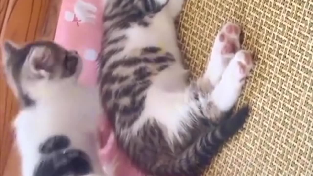 How much does a new 🆕🆕 the sky tonight and I will be there