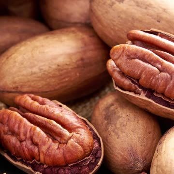 Pecans Production, Uses, Health Benefits, and More with Lenny Wells