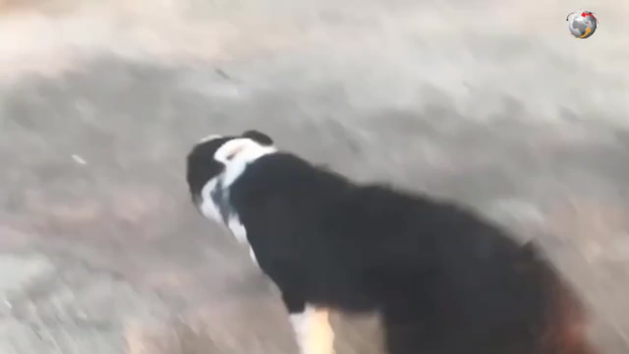 The Worst Parent Ever