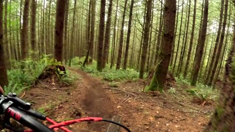 9 Year Old MTB