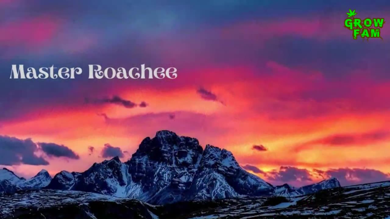Momma Roachee Monday