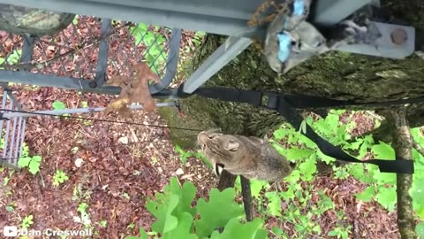 12 Times Hunters Messed With The Wrong Animals (Part 4)