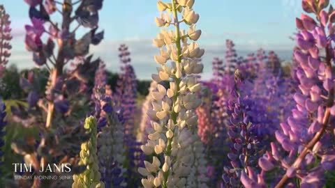 Beautiful Instrumental Hymns, Peaceful Music, Piano