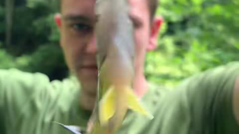 Kendall gray fishing with no bait