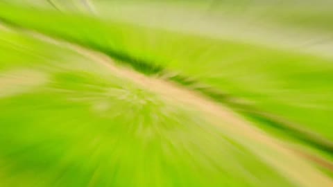 Take you into New Zealand in 20 seconds