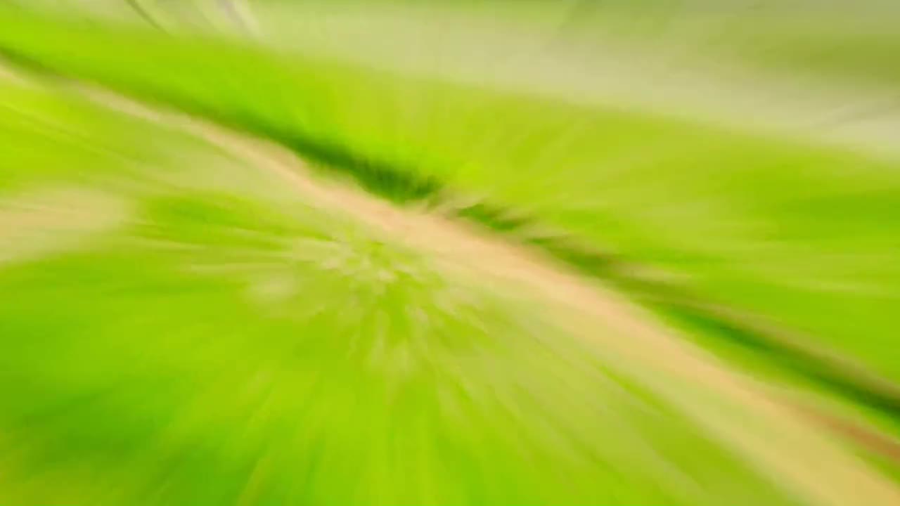 Take you into New Zealand in 20 seconds