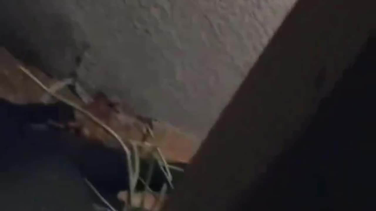 Drunk Woman Fails At Using Screen Door