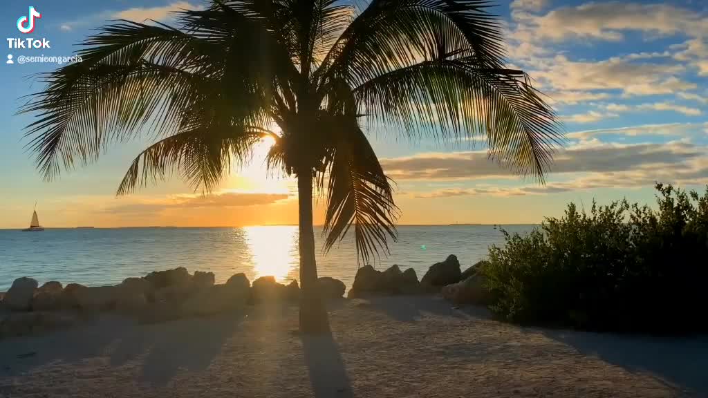 Beautiful Sunset